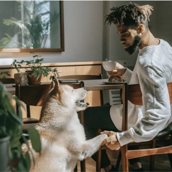 Maple Grove apartment complex exterior